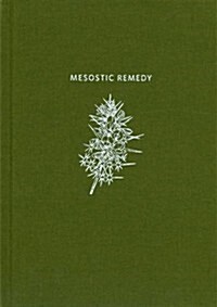 Mesostic Remedy (Hardcover)