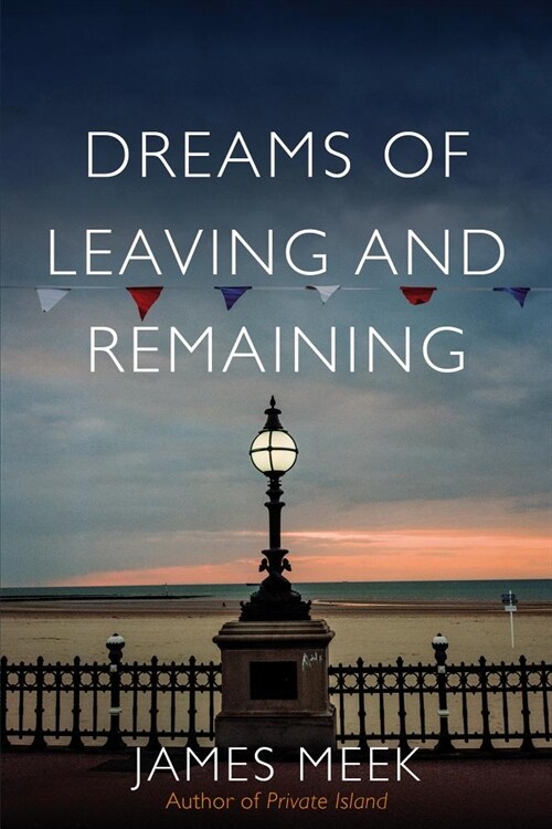 Dreams of Leaving and Remaining : Fragments of a Nation (Hardcover)