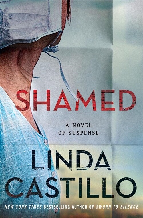 Shamed: A Novel of Suspense (Hardcover)