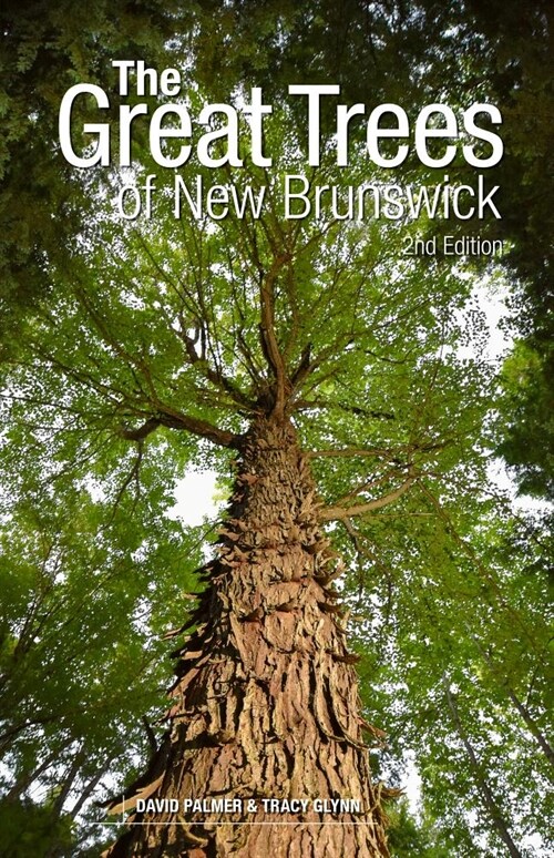 The Great Trees of New Brunswick, 2nd Edition (Paperback)