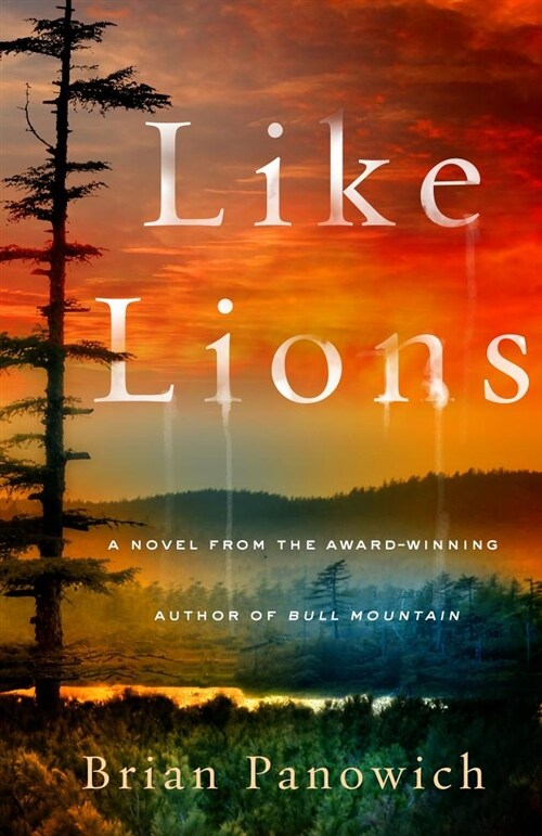 Like Lions (Hardcover)