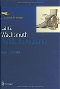 Bein Und Statik (Hardcover, 2, 2., Neubearb. A)