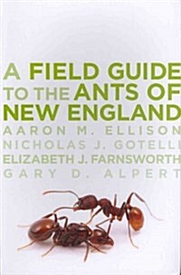 A Field Guide to the Ants of New England (Paperback)