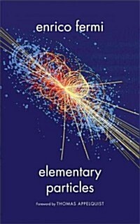 Elementary Particles (Paperback, Reprint)