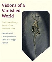 Visions of a Vanished World: The Extraordinary Fossils of the Hunsr?k Slate (Hardcover)