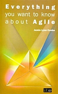 Everything You Want to Know About Agile (Paperback)