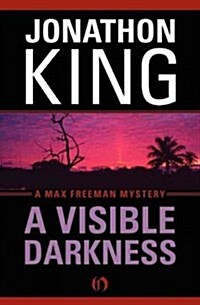 A Visible Darkness (Paperback, Reprint)