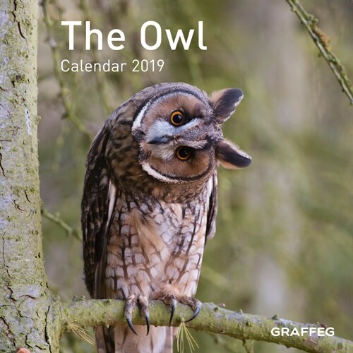 The Owl Calendar 2019 (Calendar)