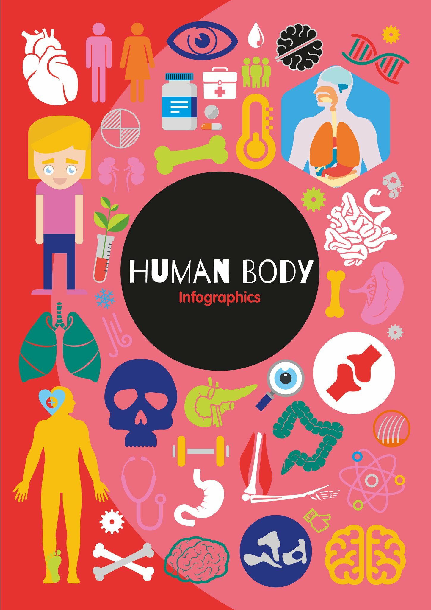 Human Body (Paperback)