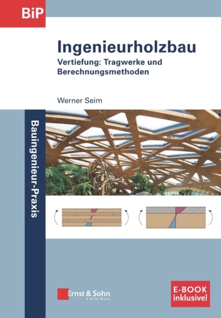 Holzbau : Vertiefung (Paperback)