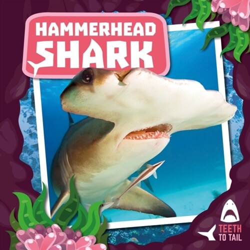 Hammerhead Shark : Teeth to Tail (Hardcover)