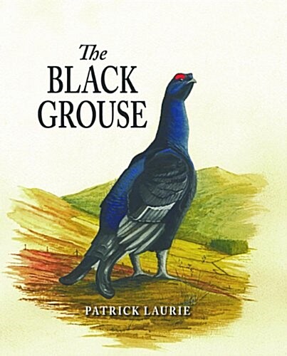 The Black Grouse (Hardcover)