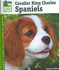 Cavalier King Charles Spaniels (Hardcover)