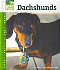 Dachshunds (Hardcover)