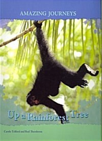 Up a Rainforest Tree (Paperback, Illustrated)