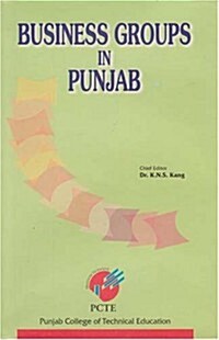 Business Groups in Punjab (Hardcover)