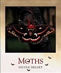 Moths (Library Binding)