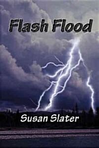 Flash Flood: A Dan Mahoney Mystery (Paperback)