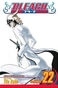 Bleach, Vol. 22 (Paperback)