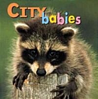 City Babies (Board Books)