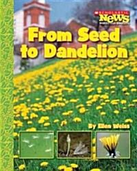 From Seed to Dandelion (Scholastic News Nonfiction Readers: How Things Grow) (Paperback)
