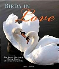 Birds in Love (Hardcover)