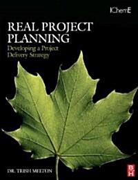 Real Project Planning: Developing a Project Delivery Strategy (Paperback)
