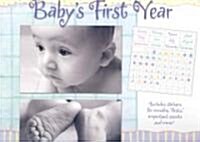 Babys 1st Year (Paperback, Wall)