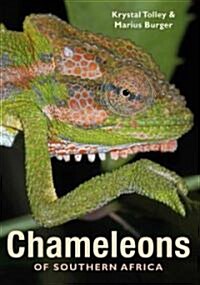 Chameleons of Southern Africa (Paperback, 1st)