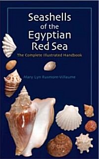 Seashells of the Egyptian Red Sea: The Illustrated Handbook (Hardcover)