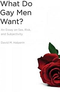 What Do Gay Men Want?: An Essay on Sex, Risk, and Subjectivity (Hardcover)
