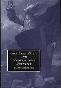 The Lake Poets and Professional Identity (Hardcover)