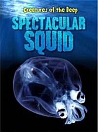 Spectacular Squid (Paperback)