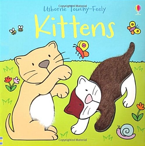 Touchy-feely Kittens (Board Book, New ed)