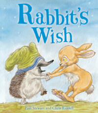 Rabbit's Wish (Paperback)