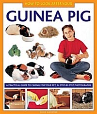 How to Look After Your Guinea Pig (Hardcover)