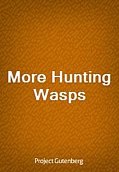 More Hunting Wasps