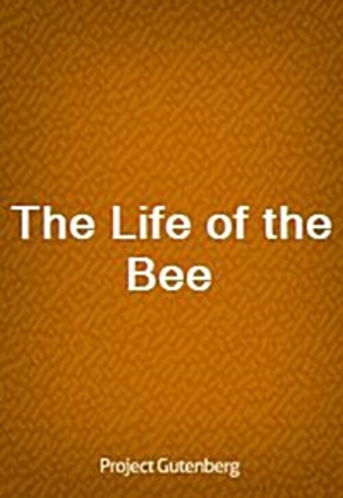 The Life of the Bee