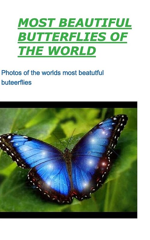 Most Beautiful Butterflies of the World (Paperback)