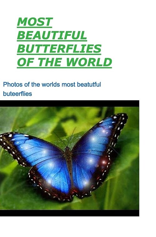 Most Beautiful Butterflies of the World (Hardcover)