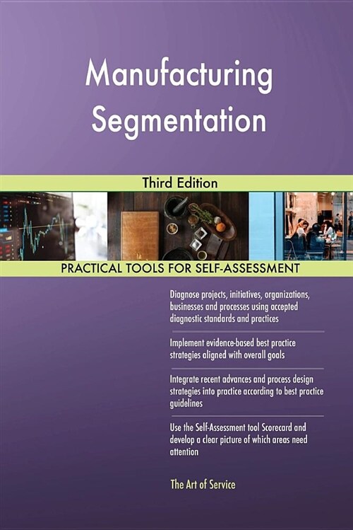 Manufacturing Segmentation Third Edition (Paperback)