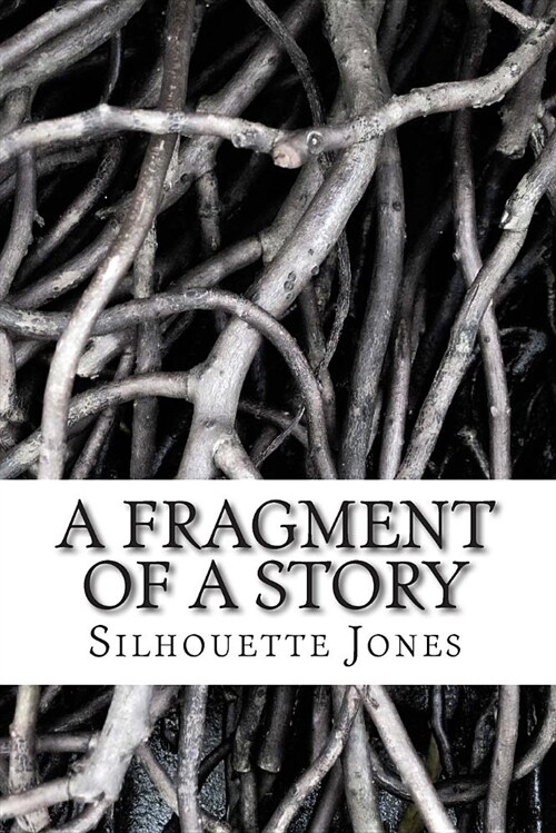 A Fragment of a Story (Paperback)