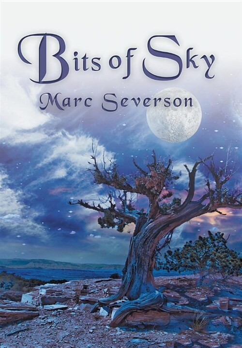 Bits of Sky (Hardcover)
