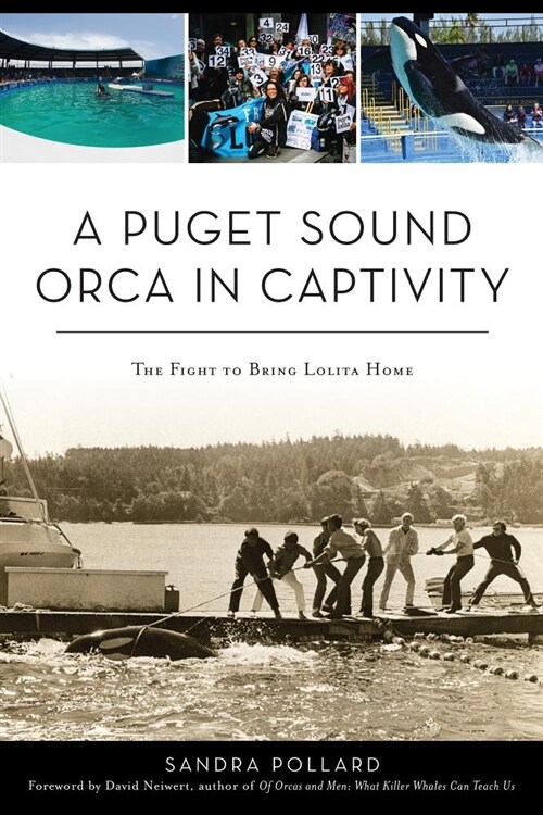 A Puget Sound Orca in Captivity: The Fight to Bring Lolita Home (Paperback)