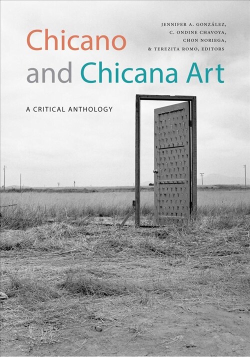 Chicano and Chicana Art: A Critical Anthology (Hardcover)