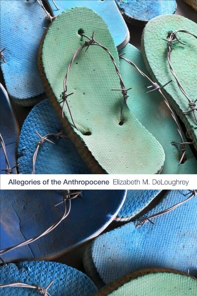 Allegories of the Anthropocene (Hardcover)