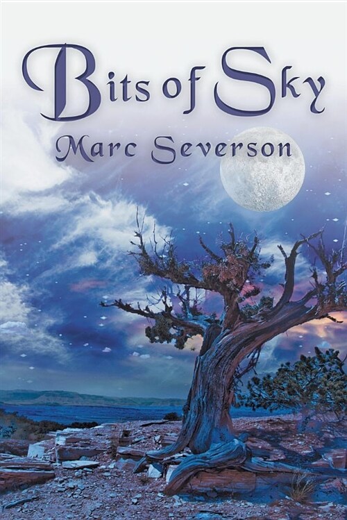 Bits of Sky (Paperback)