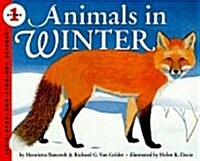 Animals in Winter (Hardcover)