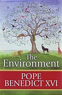 The Environment (Hardcover)