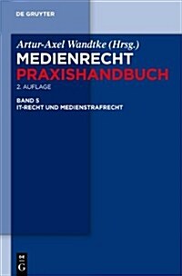It-Recht Und Medienstrafrecht (Hardcover)